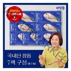 [바닷가] 국내산 반건조 참돔 300g x 7미, 7개