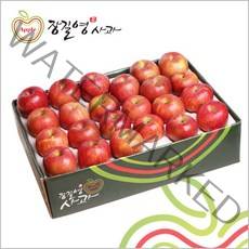 장길영 프리미엄사과 5KG 중소과(20-23과) 청송사과 산지직송, 1세트