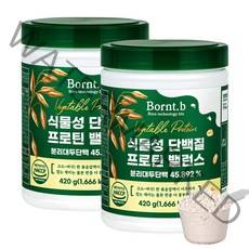 본트비 맛있는 식물성 단백질 프로틴 밸런스 BCAA, 2개, 420g