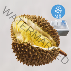 [최저가도전] 태국 냉동 통 두리안 특사이즈 frozen durian, 1) 2.5kg (로얄과 1과), 1개
