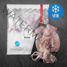 알찬해 국산 개별 포장 손질 통통 오징어 (냉동), 1kg, 1개