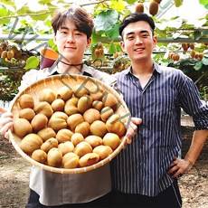 가우농장 그린키위 제스프리 참다래 2kg 3kg 5kg, 2kg(대과, 16과 내외/개당120g)"}, 1개
