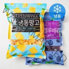 딜라잇가든 칠레산 블루베리 1kg + 망고 다이스 1kg 세트 (냉동), 1세트