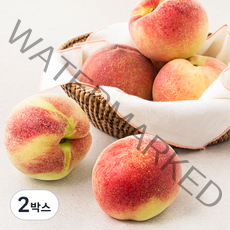 효성팜 부드러운 복숭아, 1.5kg(4~6입), 2박스