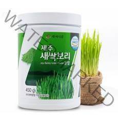 제주 새싹보리 분말 450g HACCP 인증제품, 1개