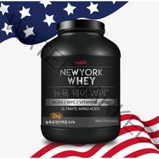 뉴욕웨이 WPC 초코맛 단백질보충제 헬스보충제 웨이프로틴 농축유청단백, 1개, 2kg