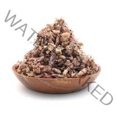 건꼴뚜기 말린 꼴뚜기 1kg 국산 마른 꼴뚜기, 1개