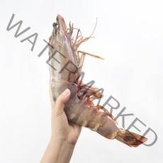 킹 블랙타이거새우 22-40cm 1미 급냉 왕새우 냉동새우 블랙타이거 킹 타이거 새우 특대 대왕새우 캠핑요리, 소 100-130g