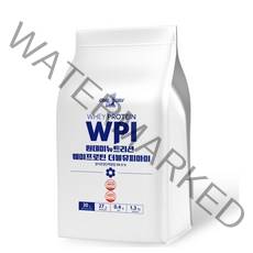 원데이뉴트리션 웨이프로틴 단백질 WPI 포대유청, 1.3kg, 1개