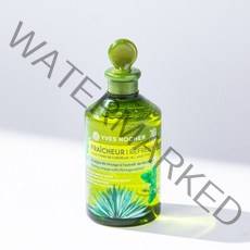 164433 이브로쉐 모링가 리프레시 헤어 식초 (딥클렌징) 150ml