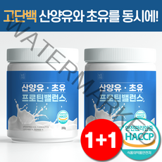 산양유 단백질 분말 초유 단백질 100% 식약처 HACCP 뉴트라업, 200g, 2통