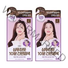 엘라스틴 샴푸하듯 간편한염색 80g 자연갈색 x 2개