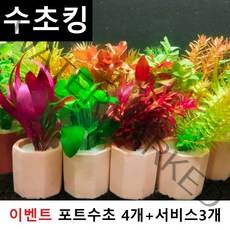[수초킹 서비스증정] 키우기 쉬운 포트수초랜덤 초보수초 구피 새우 은신처, 1개