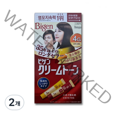 비겐크림톤 염색제 40g, 4G 자연밤색, 2개