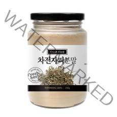신선약초 차전자피분말, 1개, 250g