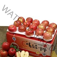얼음골 껍질째 먹는 고당도 사과 10kg 30과 선물용 가정용
