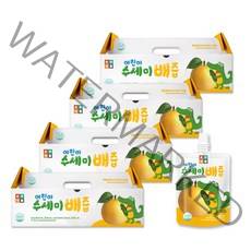 순수식품 어린이 수세미 배즙 100ml, 수세미 + 배 혼합맛, 120개