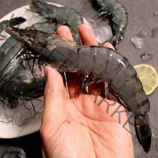 블랙타이거 새우 냉동새우 캠핑음식 요리 10미 15미 20미 25미 30미, 500g(25미), 1개, 4.블랙타이거 새우 25미 x 1팩