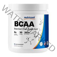 뉴트리코스트 BCAA 블루라즈베리맛, 1개, 263g