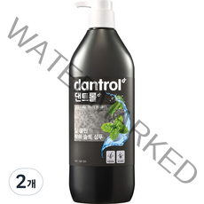 댄트롤 딥 클린 박하 솔트 샴푸, 820ml, 2개
