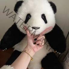 아기팬더 베이비 자이언트 판다 애착인형 푸바오 아이선물