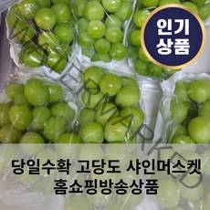 [당일수확] 경북 김천 고당도 샤인머스켓 망고포도 제철과일 선물세트 1kg 1 5kg 2kg, 실속형 샤인머스켓 1kg (2-3송이)