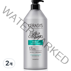 케라시스 두피쿨링 클리닉 단백질 샴푸, 980ml, 2개