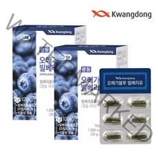 광동 식물성 오메가 블루 빌베리유 1000mg x 30캡슐 종자유 오메가369, 2박스, 30정