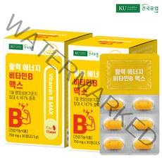 건국유업 활력 에너지 비타민B 맥스 22.5g, 30정, 2개, 30정