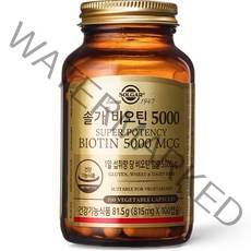 솔가 비오틴 5000, 100정, 1개