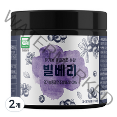 해나식품 유기농 동결건조 빌베리 분말, 2개, 100g