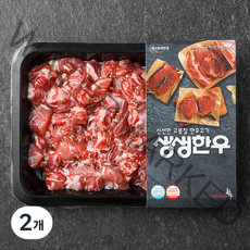 생생한우 1등급 양지 세절 국거리용 (냉장), 300g, 2개