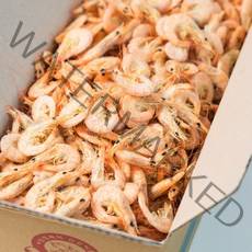 오늘의바다 국산 햇 국물새우 육수용 건새우 1.5kg (당해 생산), 1개