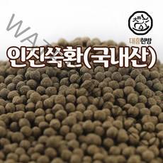 대흥한방 인진쑥환 500g 국내산, 1개