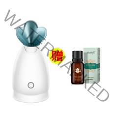 고출력 얼굴 스팀기 홈케어 디바이스 스티머 스팀 피부 가정용 관리 모공 수분 기기, 기본
