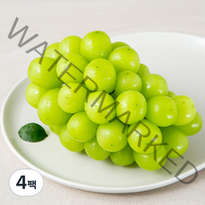 농협 Daily 상주 샤인머스켓, 650g, 4팩