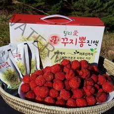 꾸지뽕 발효진액 100ml 30팩