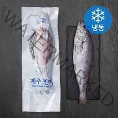 한올레 제주 통민어 특대 (냉동), 800g, 1팩