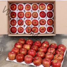 [산지직송] 경북 의성 사과 10kg(55~69과내외), 단품