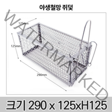 (당일출고)철망 쥐덫 쥐망 쥐철망 사각 포획망 마우스 트랩 쥐약, 1개