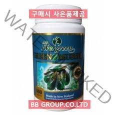 뉴질랜드 초록입홍합 에버그린 초록홍합 5000 500캡슐 1통, 1통 500캡슐, 1개, 500정