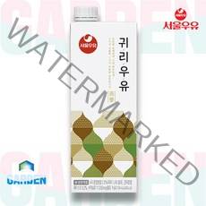 서울우유 귀리우유 지방분해 수용성식이섬유 다이어트 750ml, 2팩