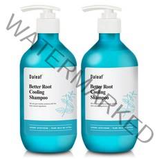 달리프 애플 민트 베러루트 쿨링 탈모완화 지성두피 샴푸, 500ml, 2개