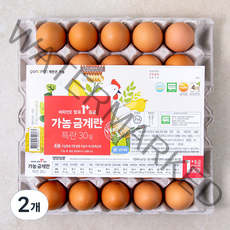 가농 무항생제 비타민E 함유 1+등급 특란 30구, 2개