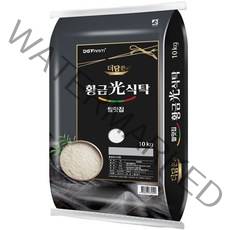 대구농산 더담은 황금빛식탁 백미, 10kg, 1개