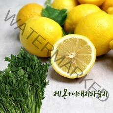 가락시장직송 오일만주스(레몬5과+이태리파슬리300g), 단품