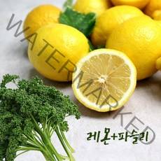 가락시장직송 오일만주스(레몬5과+파슬리300g), 단품