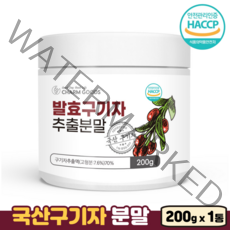참굿즈 국산구기자 발효 구기자 추출 분말 플란타김치유산균 추출액 김치유산균 유산균 가루, 200g, 1개