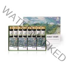 한삼인 건강담은 선물세트 + 쇼핑백, 1세트, 홍기천 50ml x 20포 + 홍삼기력 100ml x 8병