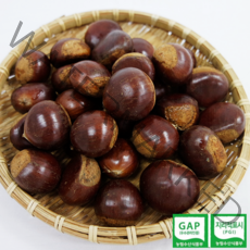 공주 정안 옥광밤 2kg 4kg (중 대 특 사이즈), 옥광밤(대) 4kg, 1개